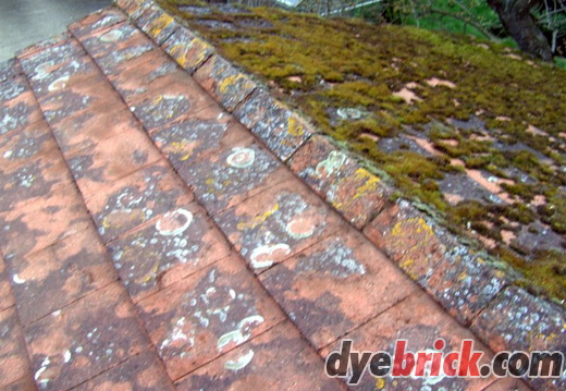 Roof After Scraping